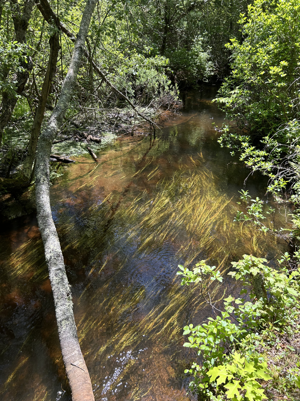 Salter - Image 15