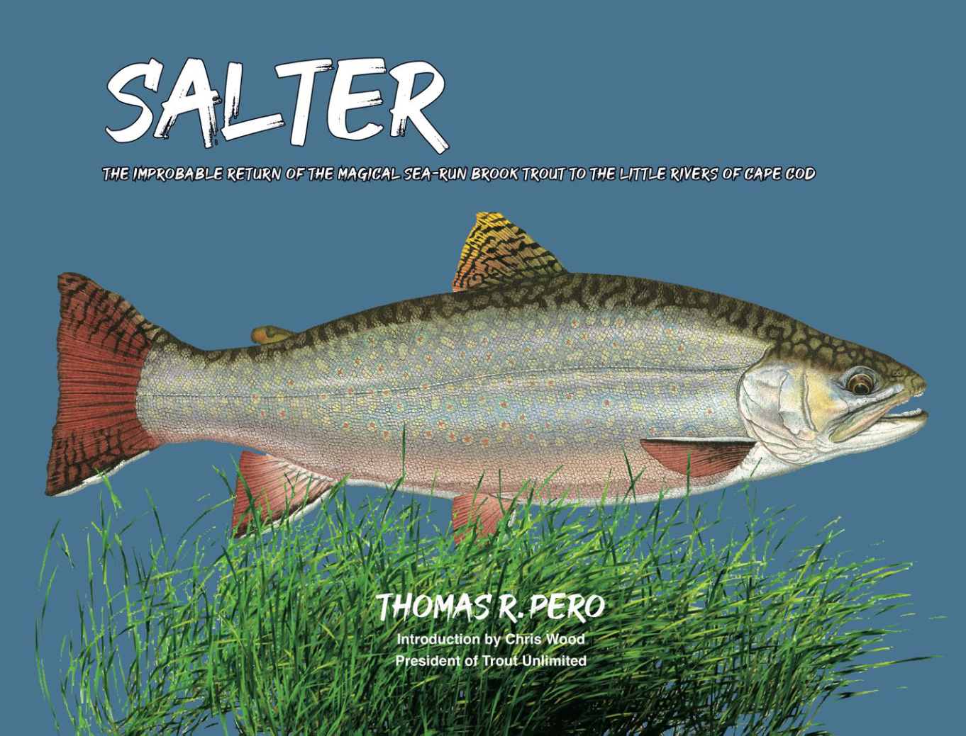 Salter